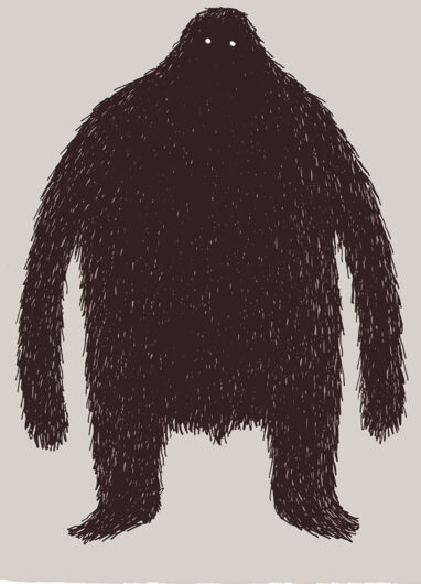 Les dimensions d'une ombre