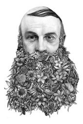 Auteur - Jérémy Schneider